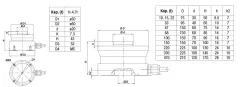 BR110 Loadcell