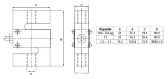 BT610 Loadcell