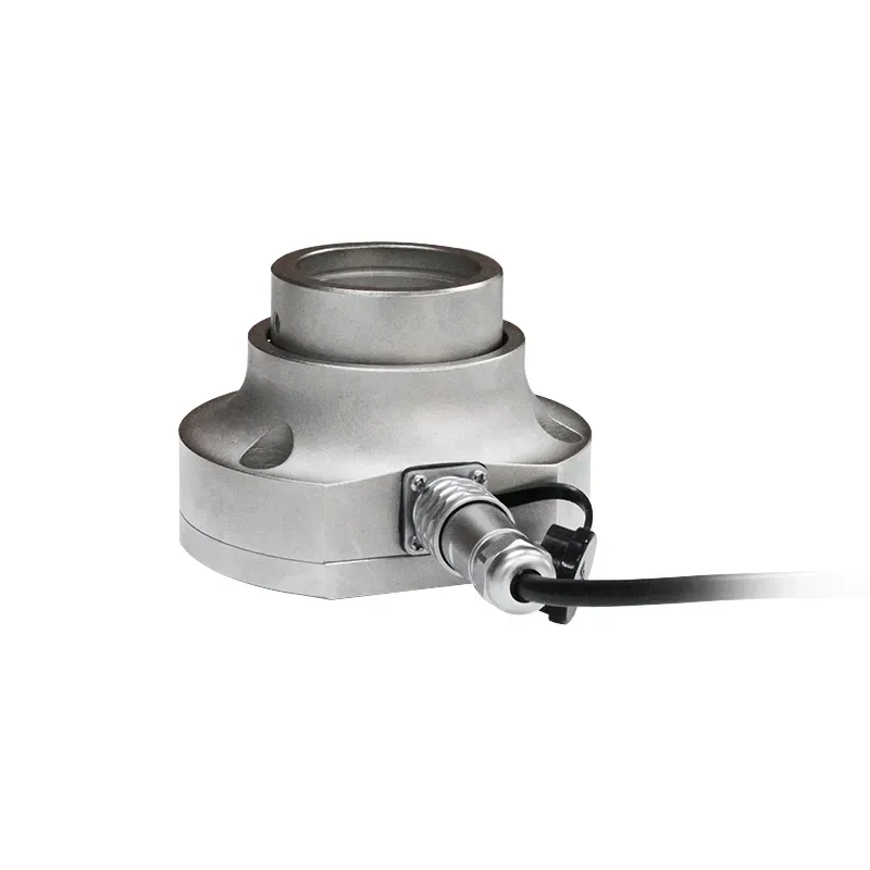 BW010 Loadcell